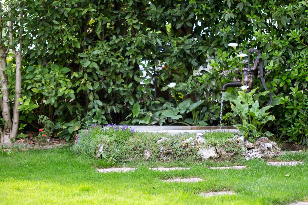 Quinto Di Treviso B&B Arco Di Pietra מראה חיצוני תמונה